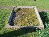 image of grave number 709971